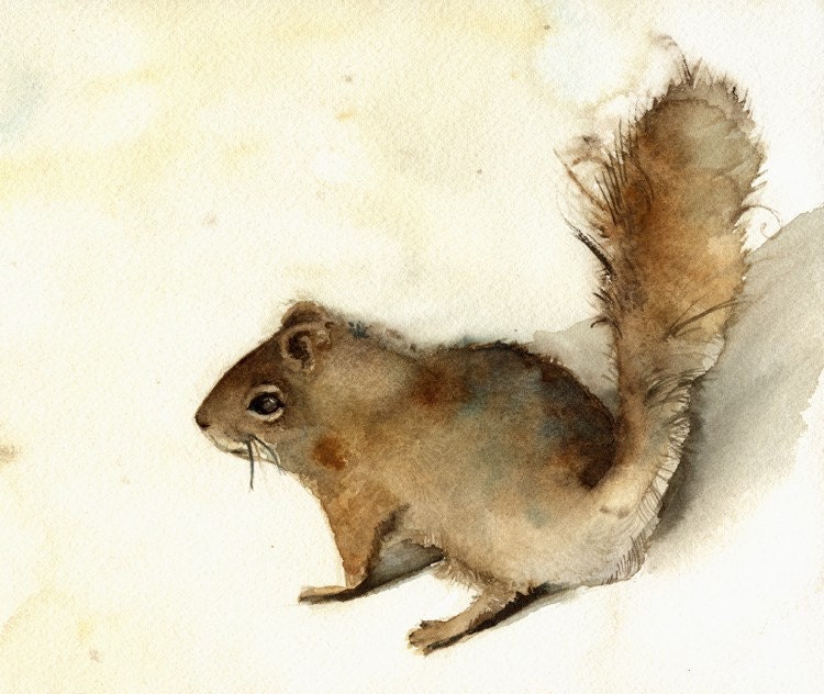 Squirrel print of watercolor