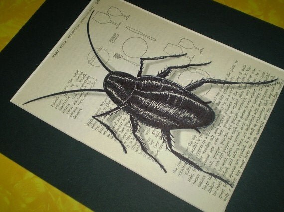 Black And Unwanted. original lack ink drawing - unwanted guests series - cockroach. From MMstudios