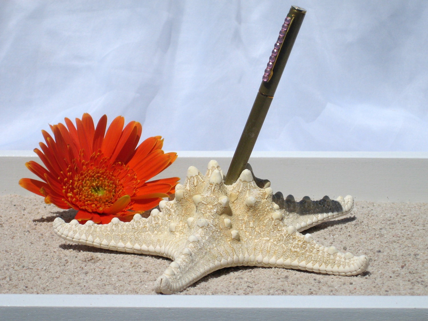 Natural Knobby Starfish Wedding Guest Book Pen Holder