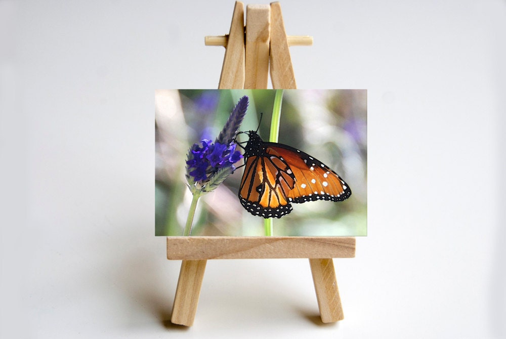 Any Photo Print in my shop, ACEO, with easel