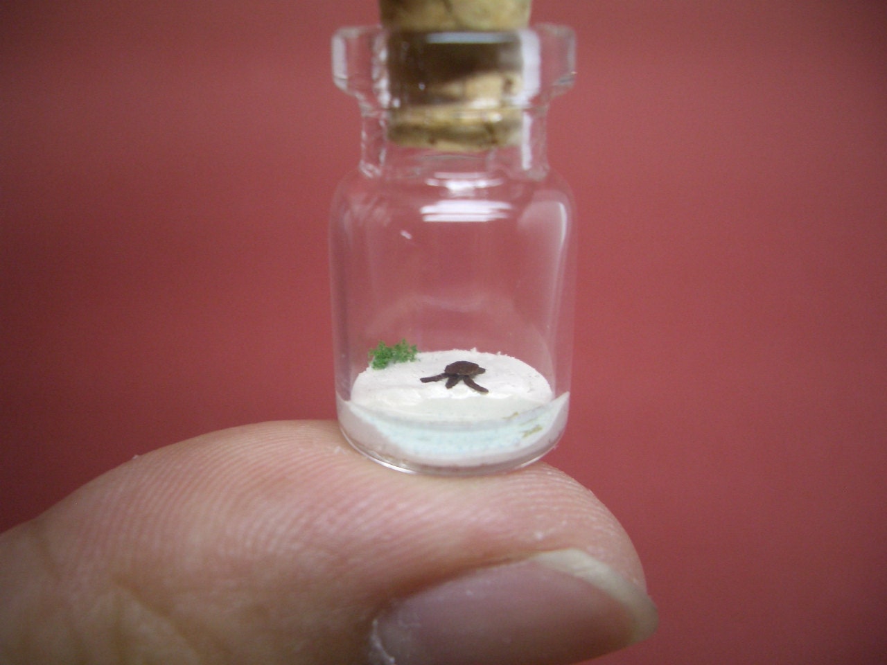 First hatched sea turtles reaches the ocean in a tiny bottle