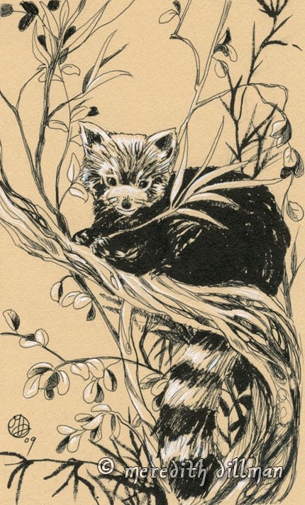 tree drawings pencil. Red Panda in Tree drawing