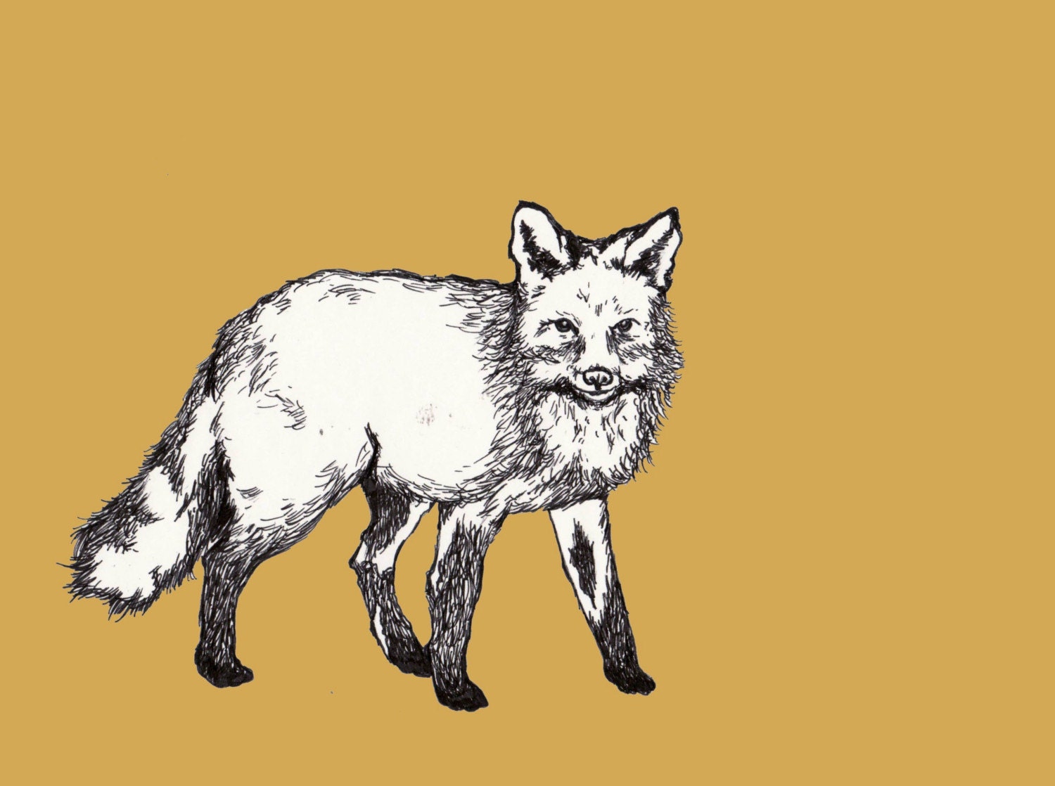 Foxy Print