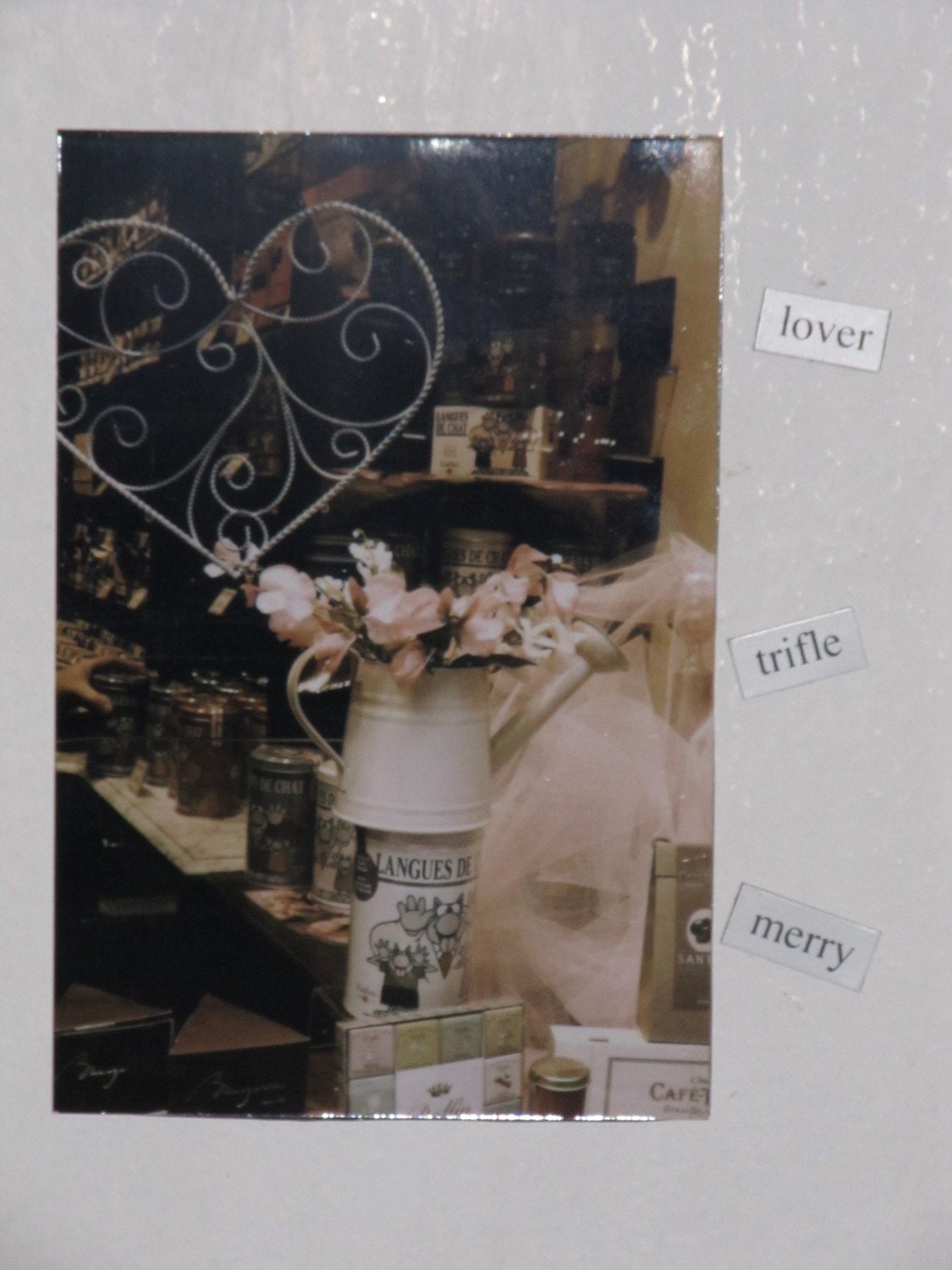 4x6 Magnet of "Window Shopping," Original Photograph of a Shop Window Display in Brussels, Belgium