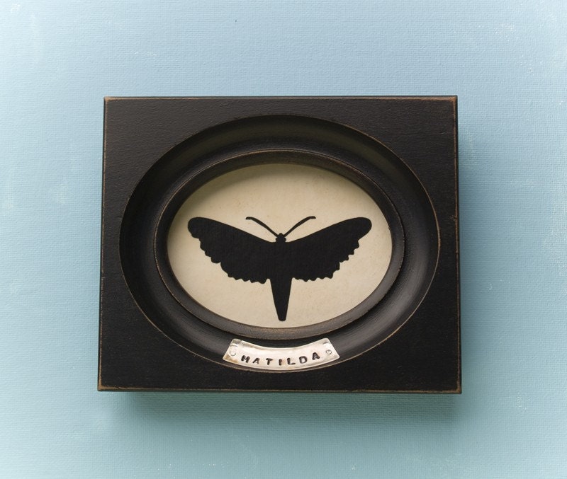 Matilda, framed moth silhouette art piece