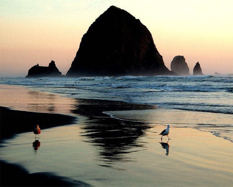 A pair of seagulls enjoy a beautiful sundown near Haystack Rock at Cannon Beach, Oregon.