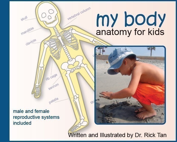 circulatory system for kids. Free Circulatory System Games amp; Activities for Kids. For Teachers.
