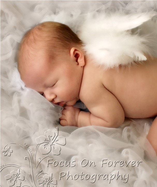 Tiny Angel Model Photography