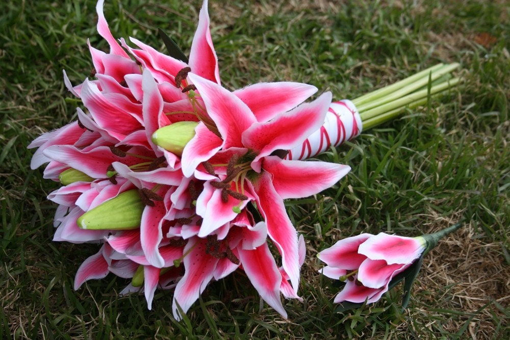 Pink Tiger Lily Bouquet and Boutonniere. From smnoble