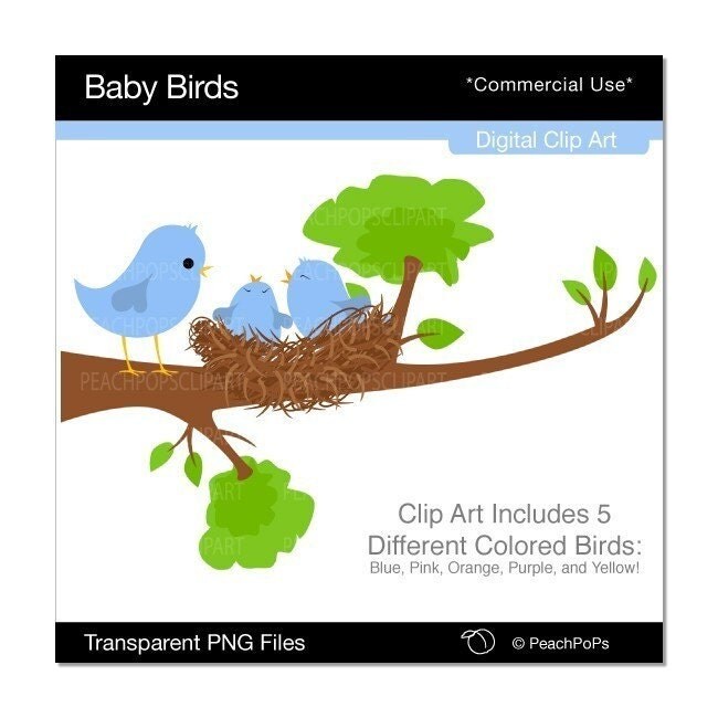 Baby Birds - cute digital clip 2011