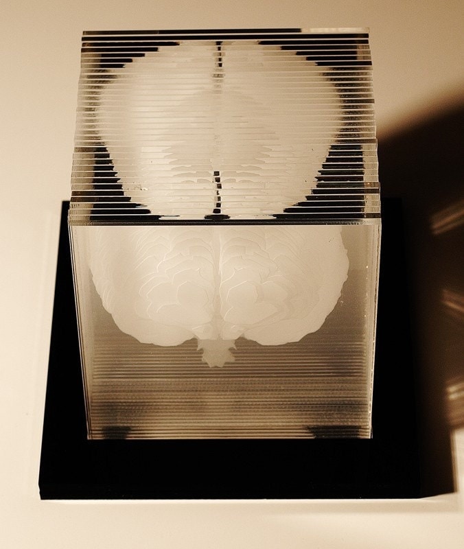 model of a brain created via sections lasercut from acrylic by Dwight Song