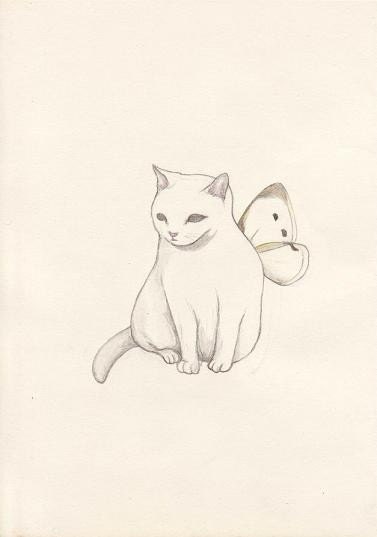 A white cat has wings - postcard