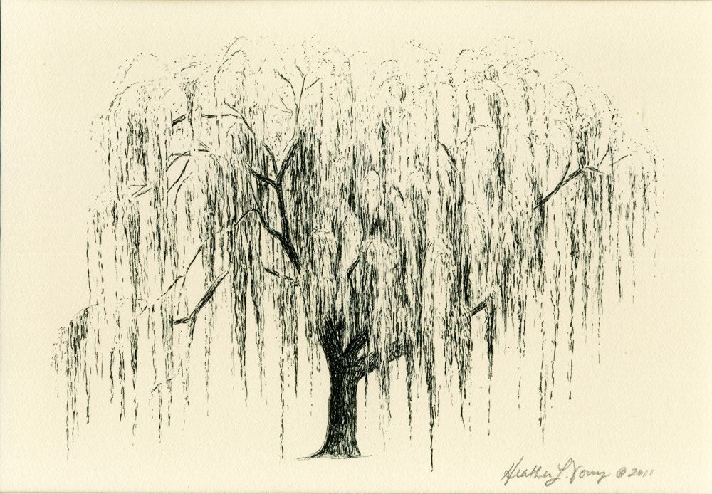 Weeping+willow+tree+