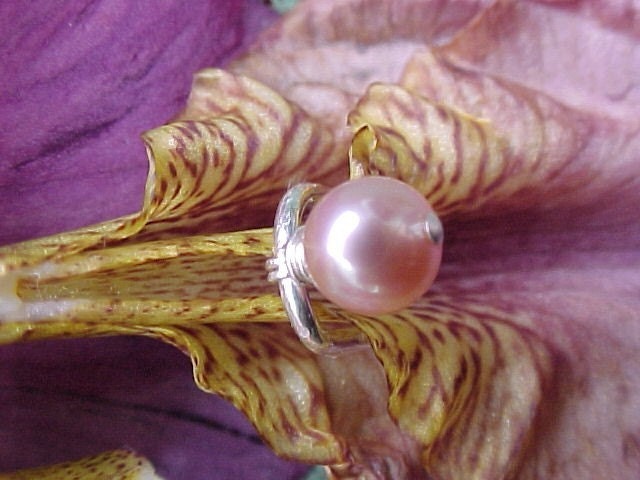 hood clit piercing. pink lotus clip clitoral hood