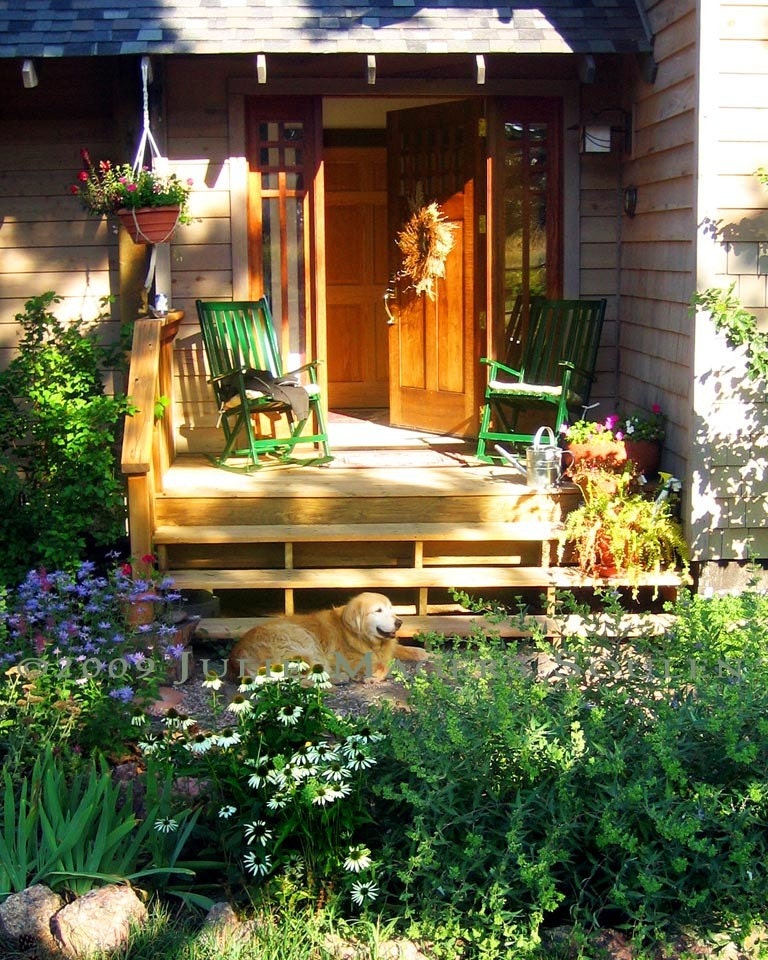 summer,garden,vacation,porch,dog