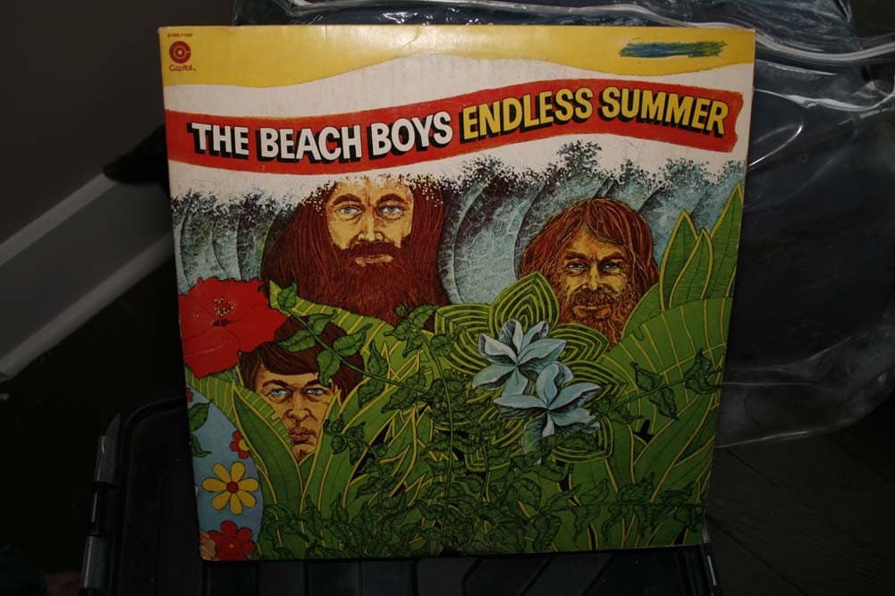 The Beach Boys - Endless Summer 