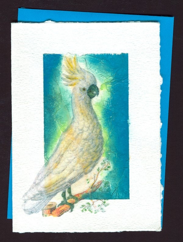 The Greater Sulphur Crested Cockatoo 