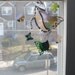 Attactive Vinyl Butterflies & Flowers Window Decals Multiple Colors ( Set of 6 ) Window Decor, Window Art, Storm Door, Glass Windows,