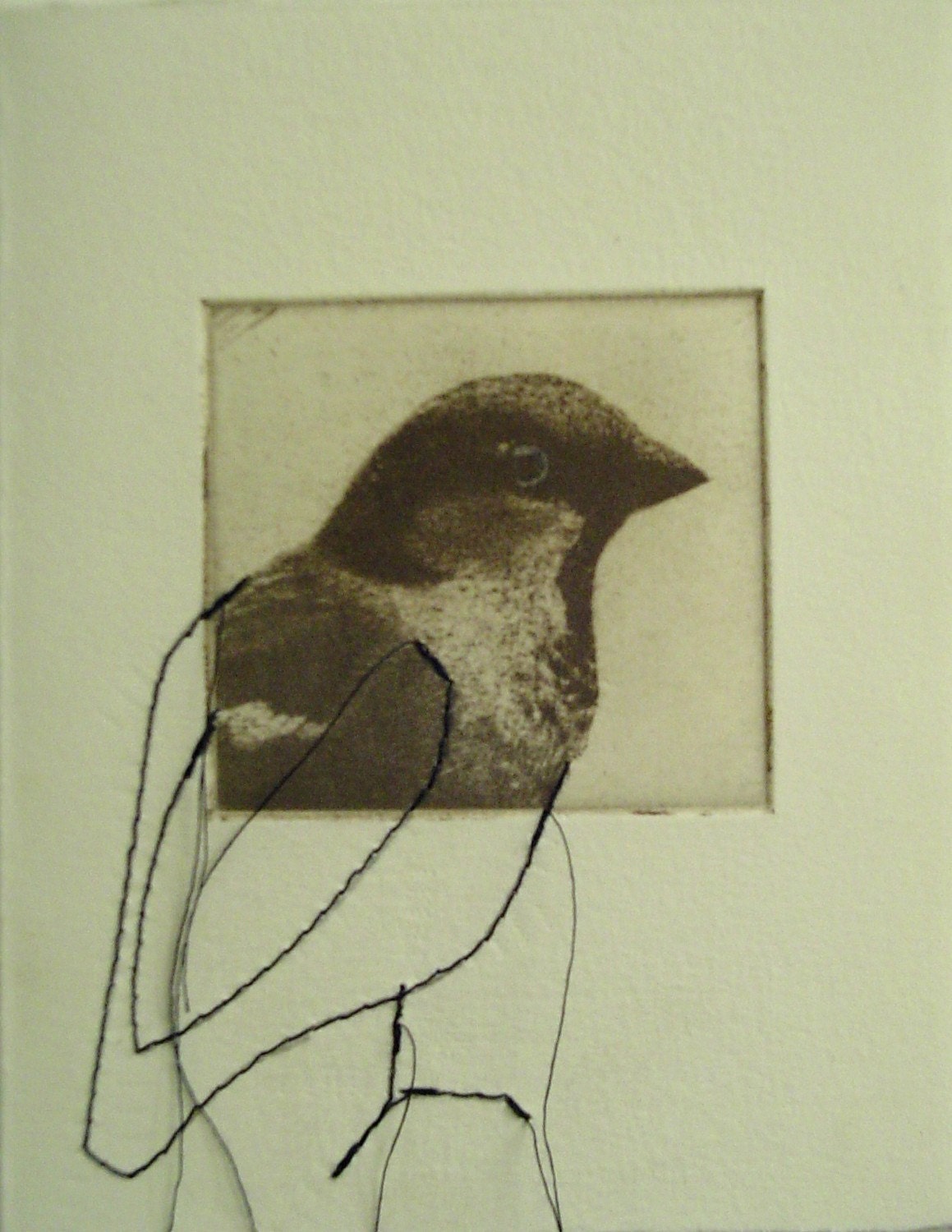 original etching of a bird, hand pulled
