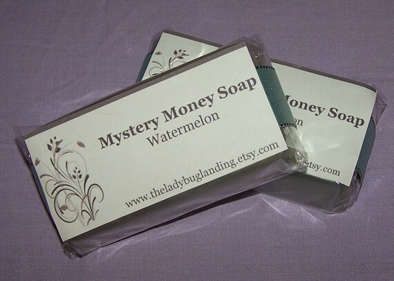 Handmade Real Money Soap Mystery....you choose scent