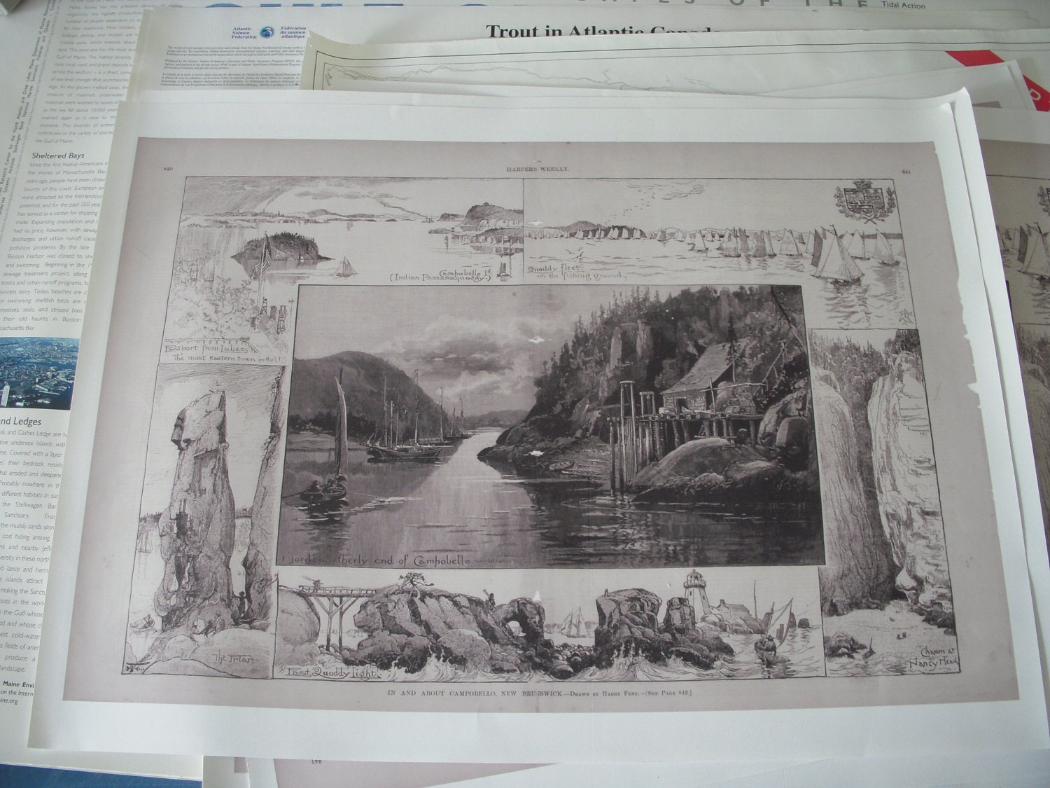 POSTER: Drawings of Campobello Island - Harper's Weekly late 1800s