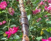 Twisted Walking Stick With Copperhead Snake Carving.
