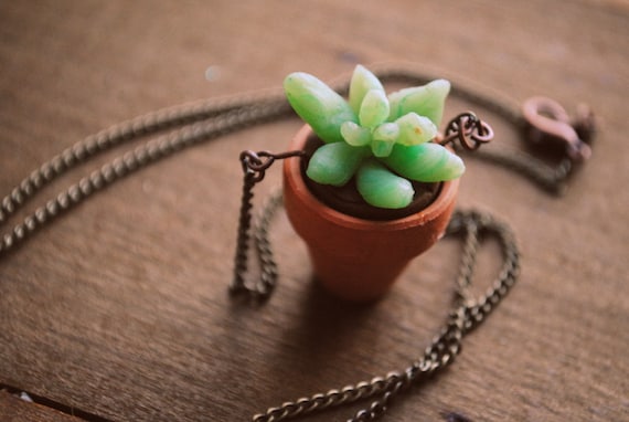 Planter Succulent Necklace