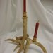 Hideous Antler Candle Holder